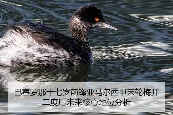 巴塞罗那十七岁前锋亚马尔西甲末轮梅开二度后未来核心地位分析