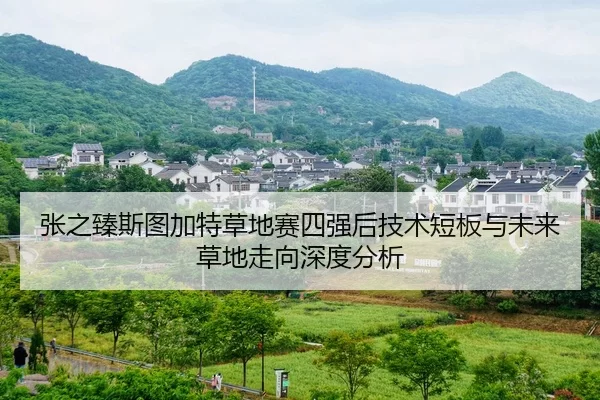 zhang-zhi-zhen-si-tu-jia-te-cao-di-sai-si-qiang-hou-ji-shu-duan-ban-yu-wei-lai-cao-di-zou-xiang-shen-du-fen-xi-2-765.jpg