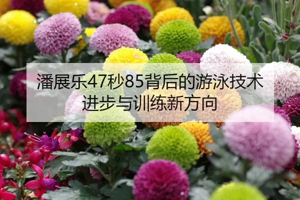 潘展乐47秒85背后的游泳技术进步与训练新方向